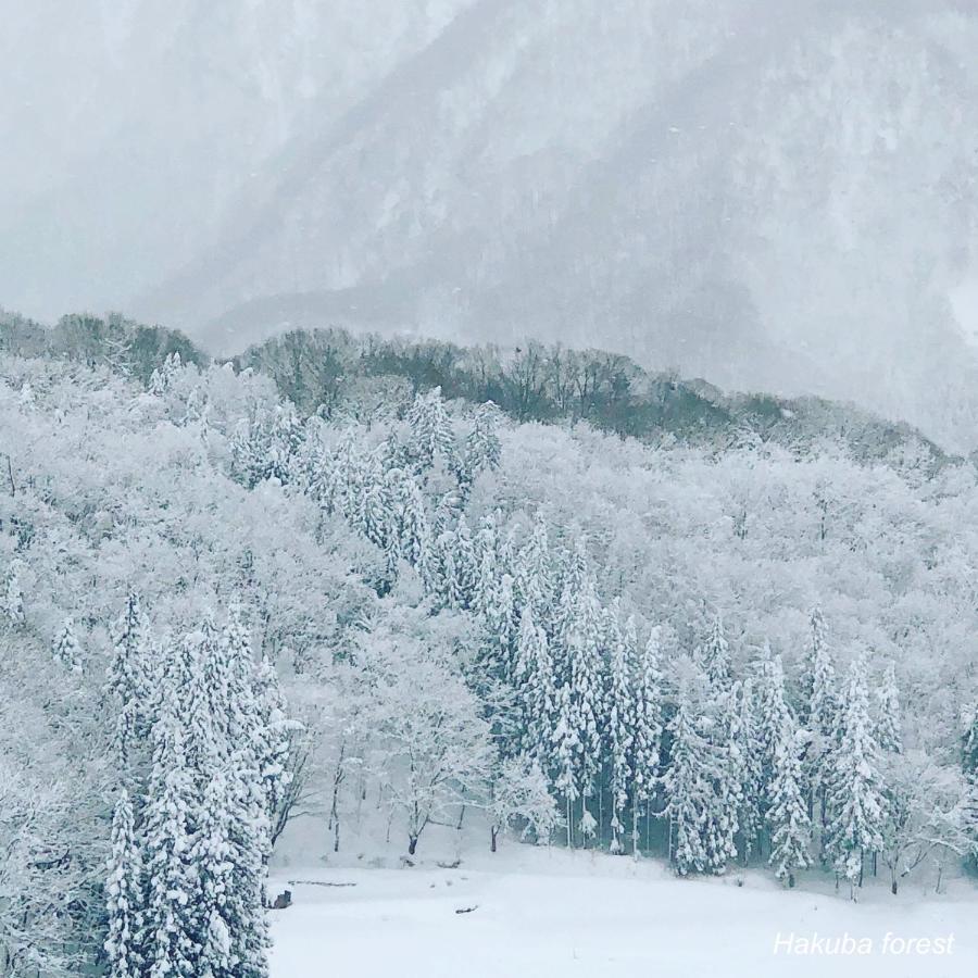 Resort The Japan Hakuba