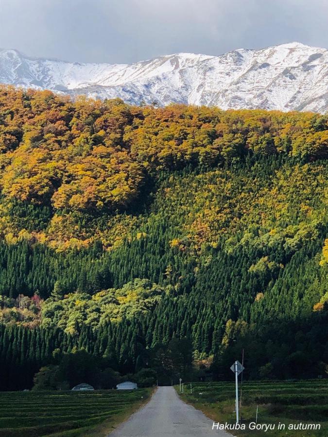 The Japan 度假村